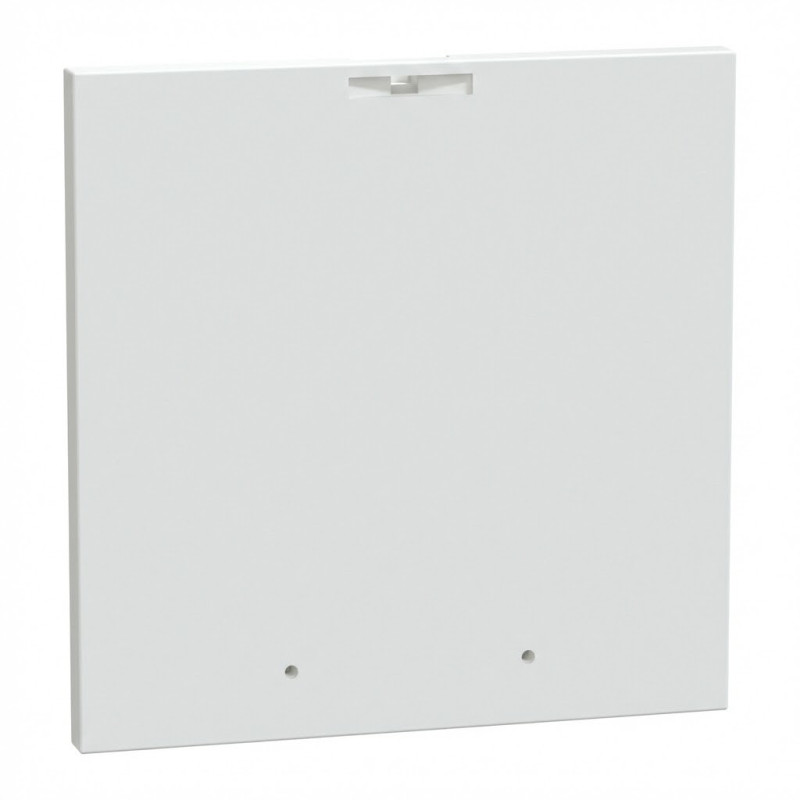 Obturateur sur plastron métallique - 96x96 PrismaSeT G - SCHNEIDER - LVS03908,Accessoires Coffret