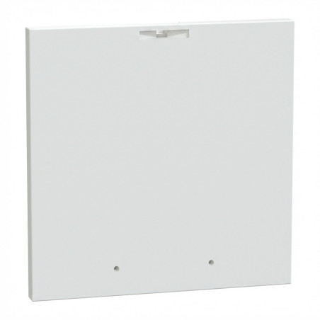Obturateur sur plastron métallique - 96x96 PrismaSeT G - SCHNEIDER - LVS03908,Accessoires Coffret