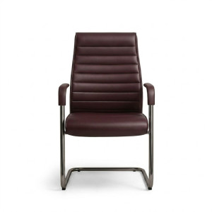Chaise de Bureau Cantilever Bordeaux
