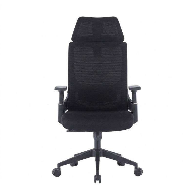 Fauteuil Ergonomique Professionnel Haut de Gamme avec Appui-Tête Intégré