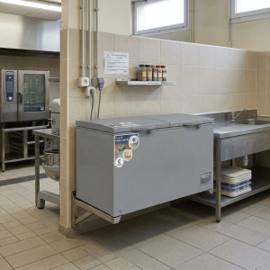 CONGELATEUR HORIZONTAL SILVER 558LT- 558LITRES - 2 PORTES 2 PANIERS INT. 220-240V CLE R134 - NASCO