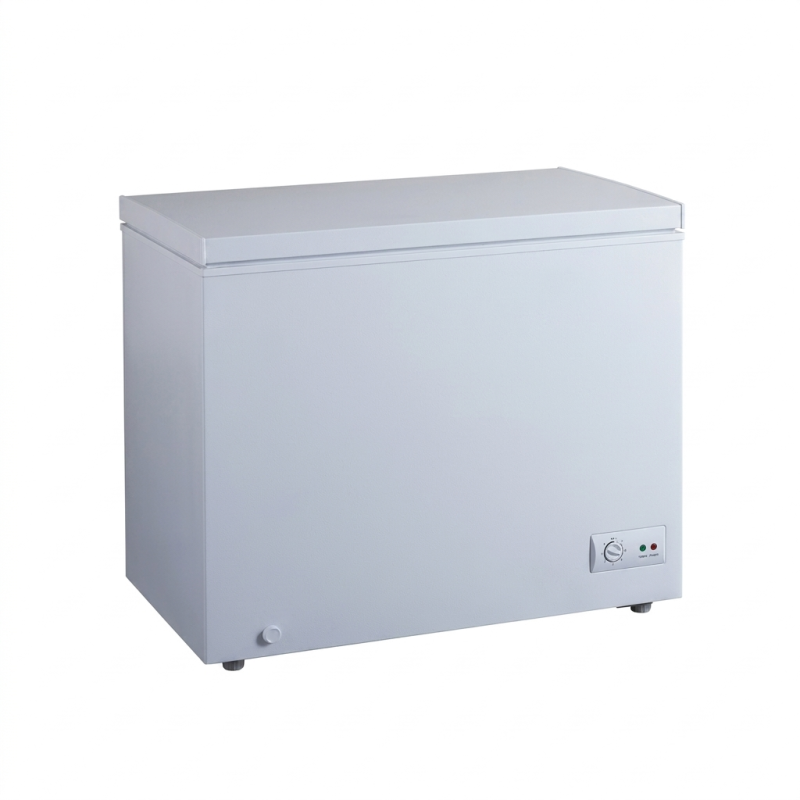 CONGELATEUR HORIZONTAL SILVER 290LT-290LITRES  - 1 PORTE 1 PANIER A L'INTERIEUR CLE - NASCO