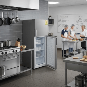 CONGELATEUR VERTICAL 242LT-242LITRES - 7 TIROIRS  SILVER  220-240V  R600A - TCL