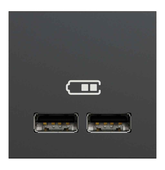 Chargeur USB double - 5Vcc - 1A + 2,1A - 2 modules - Anthra -