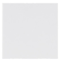 Obturateur 2 modules - Blanc Mosaic Legrand - 277071L