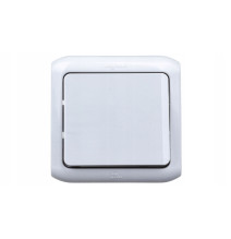 Bouton va-et-vient Forix IP44 10AX 250V~ pour montage en