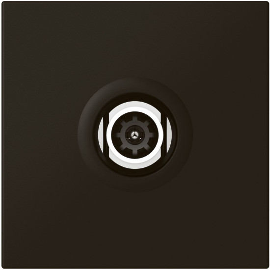 Prise de télévision Ø9,52mm mâle 2 modules - noir mat Mosaic