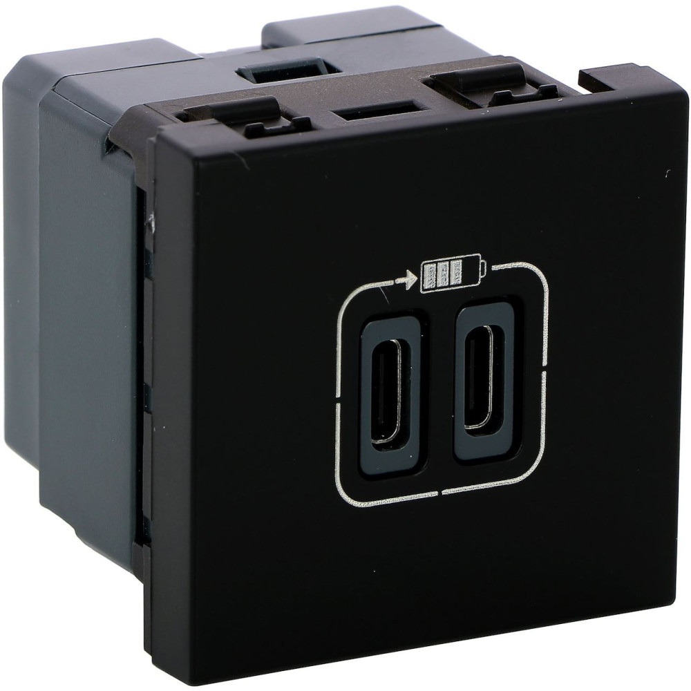 Prise 2 USB Type-C 3A 5V 15W 2 modules 230V - noir mat Mosaic
