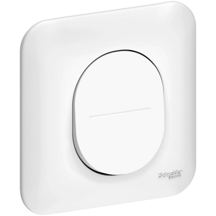 Interrupteur simple allumage 10AX avec griffes et plaque Ovalis