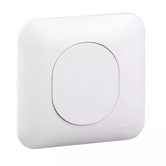 Obturateur - avec griffes avec plaque Blanc Ovalis Schneider