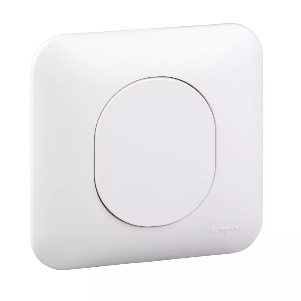 Obturateur - avec griffes avec plaque Blanc Ovalis Schneider