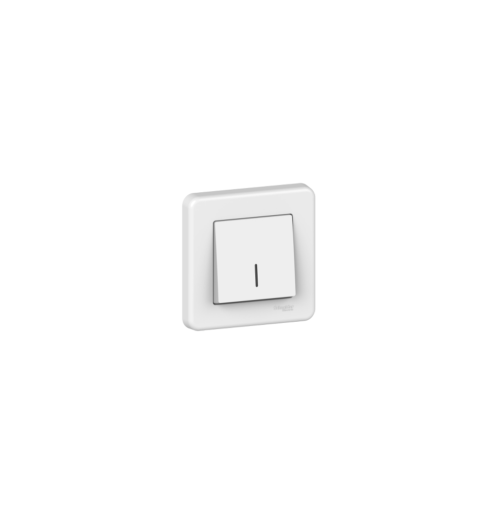 Bouton Poussoir Lumineux Blanc Leona Schneider Electric Bouton Poussoir Lumineux Blanc Leona Schneider Electric