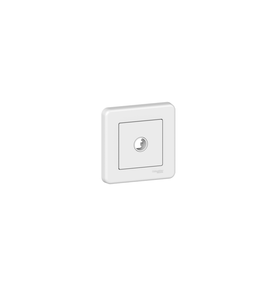 Sortie De Fil ( Plaque Vierge) Blanche Leona Schneider Electric Sortie De Fil ( Plaque Vierge) Blanche Leona Schneider Electric