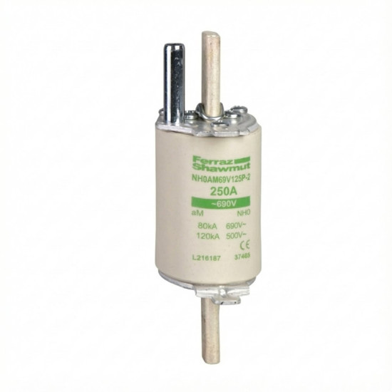 CARTOUCHE FUSIBLE DIN1 A COUTEAUX NH0 AM 250A - SCHNEIDER - DF4HA1251,Fusible