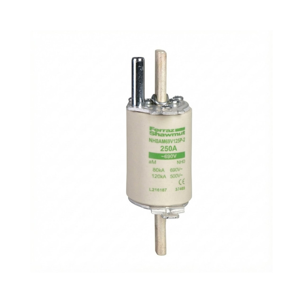 CARTOUCHE FUSIBLE DIN1 A COUTEAUX NH0 AM 250A - SCHNEIDER - DF4HA1251,Fusible