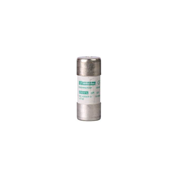 FUSIBLE CYLINDRIQUE AM 22X58MM 125A - SCHNEIDER - DF3FA125,Fusible