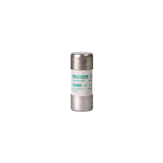 FUSIBLE CYLINDRIQUE 22X58MM AM 100A - SCHNEIDER - DF3FA100,Fusible