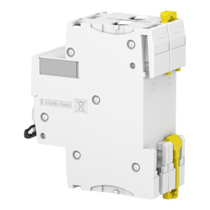 Disjoncteur Acti9, iC60L 2P 10A courbe C - SCHNEIDER - A9F94210