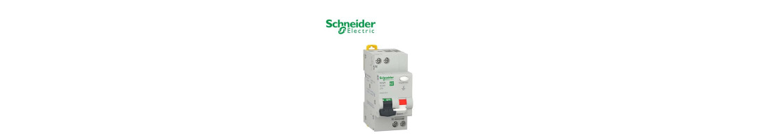 Disjoncteur Différentiel Schneider Electric à Abidjan - Côte d'Ivoire